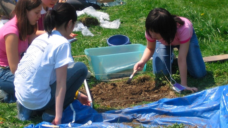 A real-life example of an excavation with a brush tool.